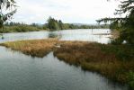 PICTURES/Oregon Coast Road - Fort Clatsop/t_Nutel Landing6.JPG